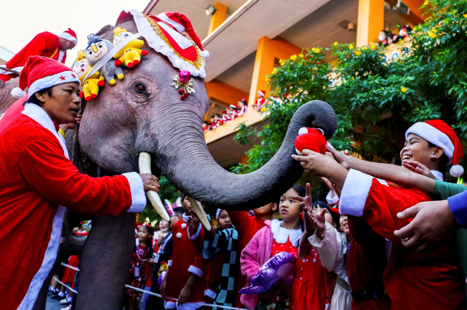 Học sinh nhận quà từ một chú voi mặc trang phục ông già Noel trước lễ Giáng sinh tại một trường học ở thành phố Ayutthaya, Thái Lan vào ngày 22-12 - Ảnh: REUTERS