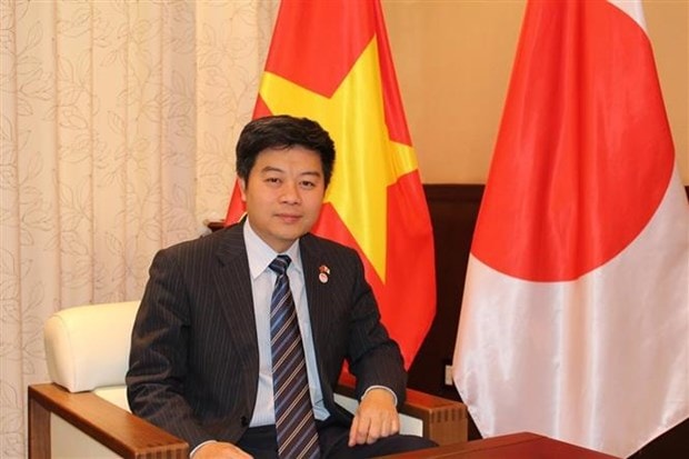 No casualties among Vietnamese citizens in Japan due to earthquake recorded: Embassy hinh anh 2