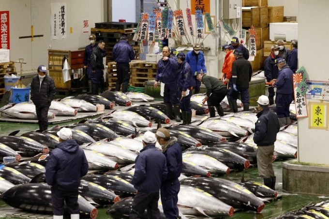 Quang cảnh chợ cá Toyosu ngày 5/1. Ảnh: Kyodo News