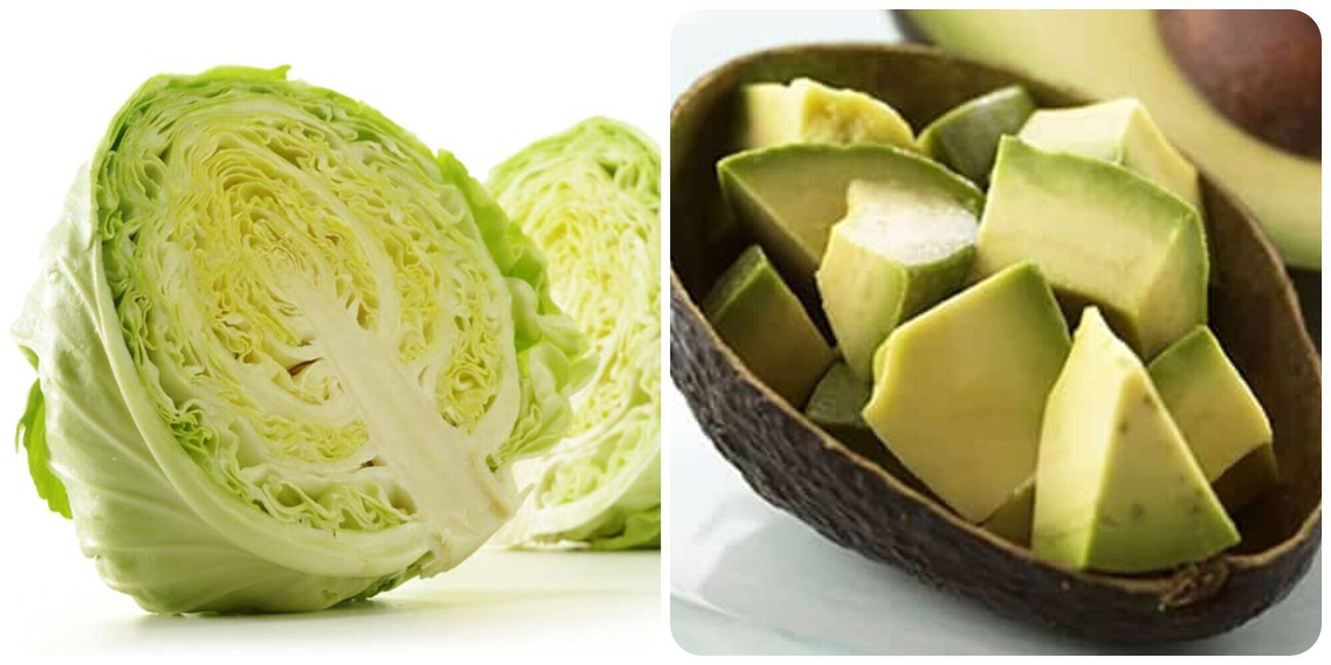 Bắp cải và quả bơ là hai loại rau quả rất tốt cho sức khoẻ