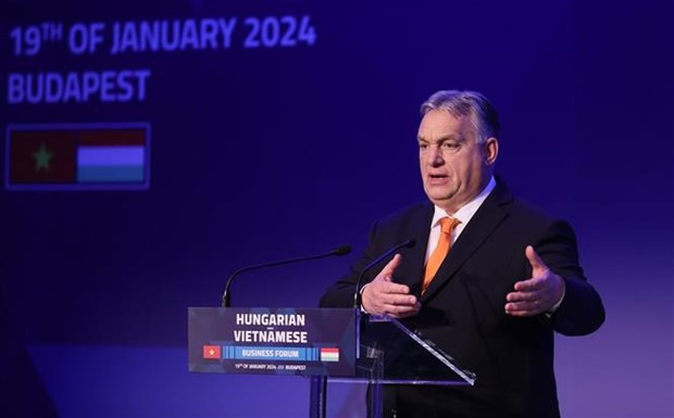 Vietnamese, Hungarian PMs attend business forum hinh anh 2