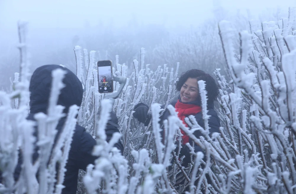 Du khách thích thú trước hiện tượng băng giá ở đỉnh núi Mẫu Sơn. (Ảnh: Anh Tuấn/TTXVN)
