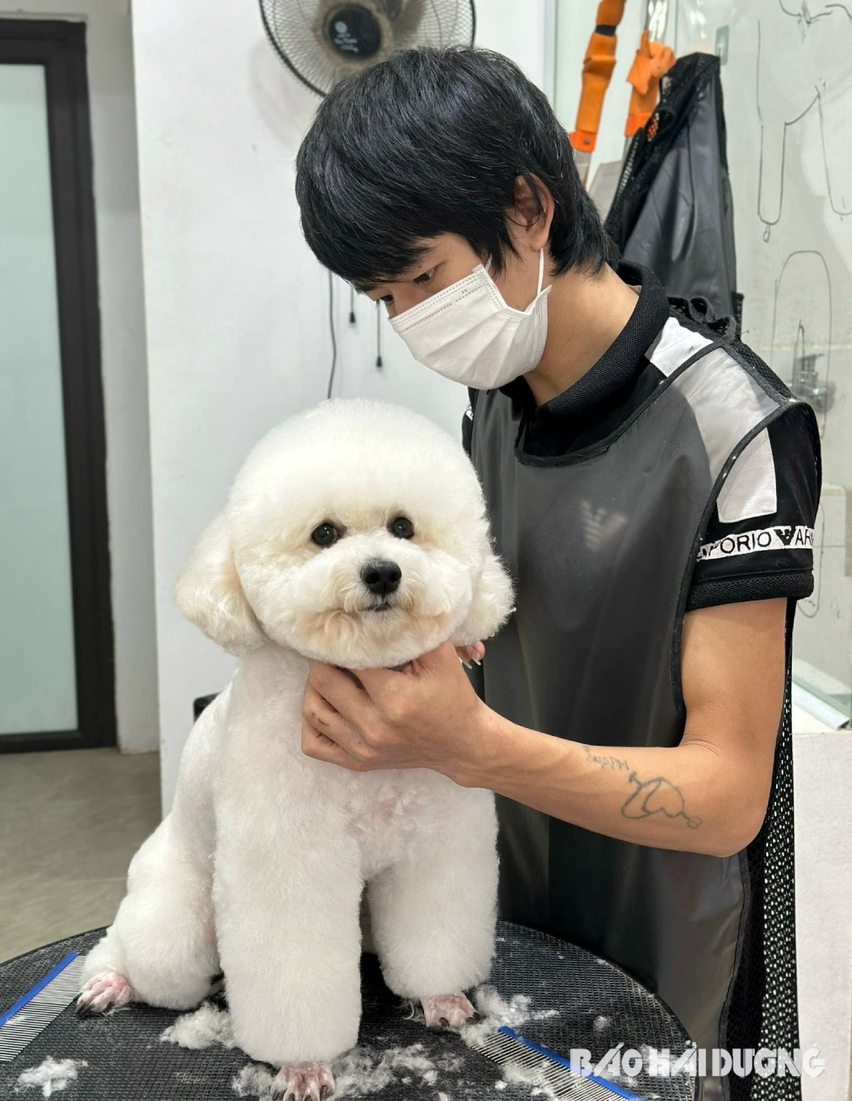 Giảm giá Kanki thời trang dễ thương cho chó nhỏ vừa trang phục cho chó cún  con áo thú cưng quần áo cho chó quần áo thú cưng đồng phục thú cưng