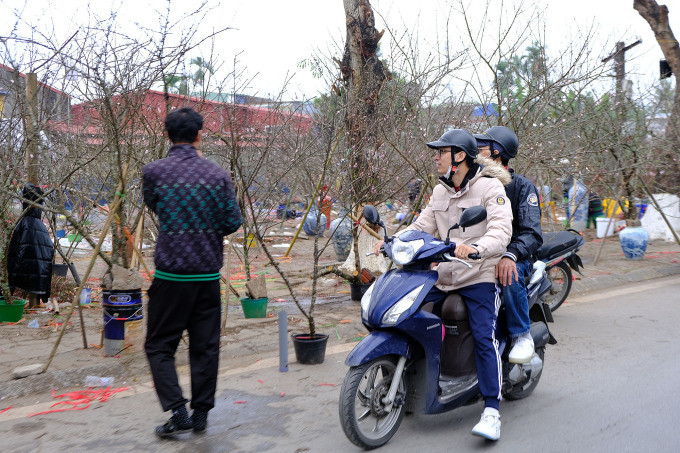 Hai khách hàng đang trả giá cành đào đá trên đường Lê Hồng Phong, quận Ngô Quyền, Hải Phòng, chiều 7/2. Ảnh: Quỳnh Nguyễn