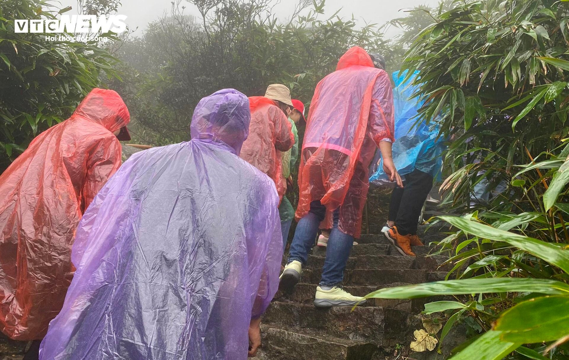 Du khách đội mưa vượt gió, dò từng bước lên chùa Đồng Yên Tử lễ Phật - 6
