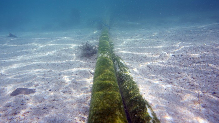 Cáp ngầm dưới biển là nguồn mạch của Internet - Ảnh: FT