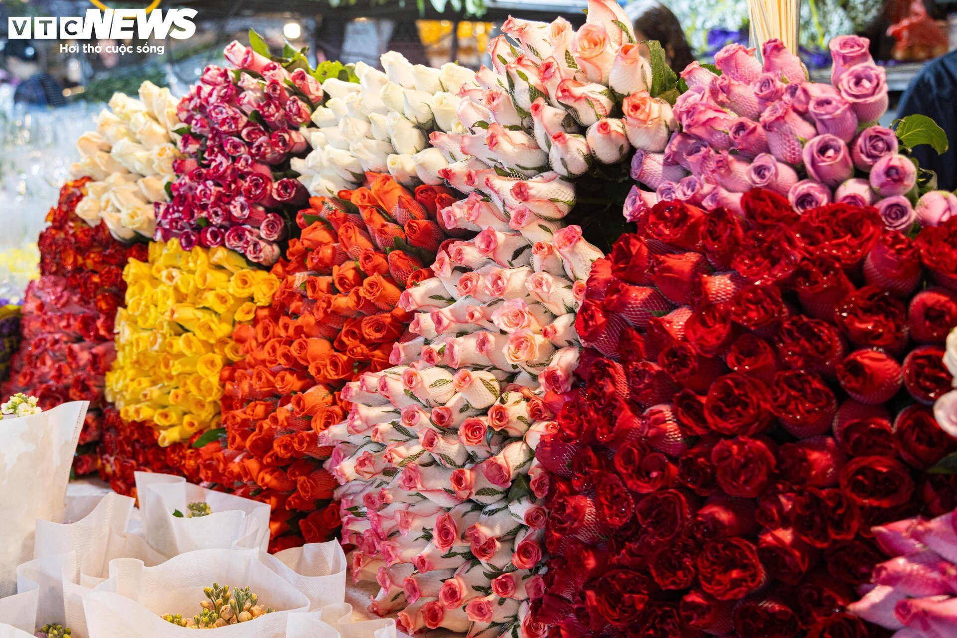 Chợ hoa tươi lớn nhất Hà Nội nhộn nhịp suốt đêm trước ngày 8/3 - 5