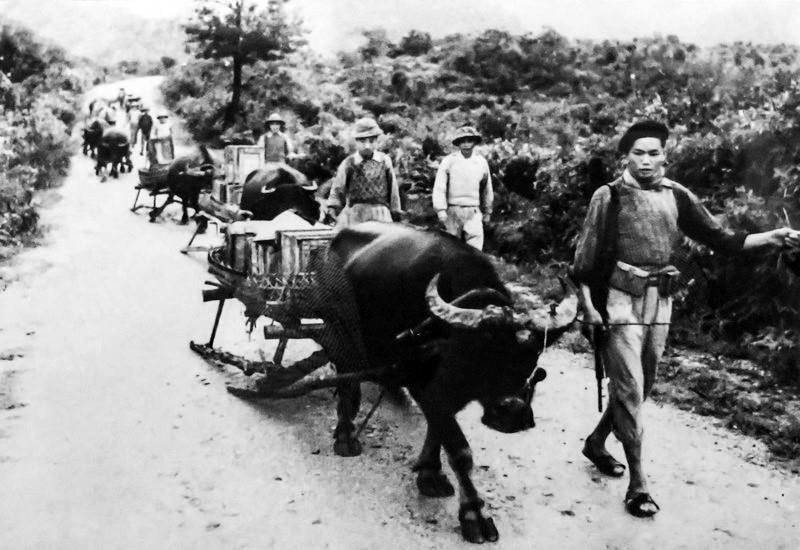 Nation united in strength for Dien Bien Phu front hinh anh 4