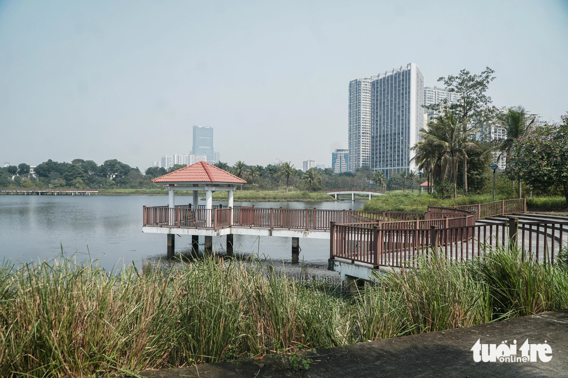 Công viên rộng hơn 11ha chậm tiến độ 7 năm, bỏ hoang giữa lòng Hà Nội- Ảnh 8.