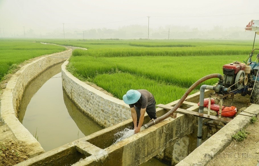 World Water Day 2024: Leveraging water for peace hinh anh 4