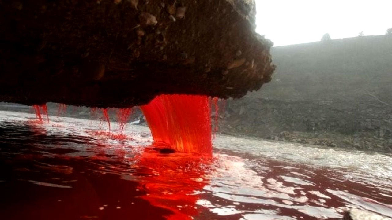 Màu đỏ của nước tại thác máu - Ảnh cắt từ video