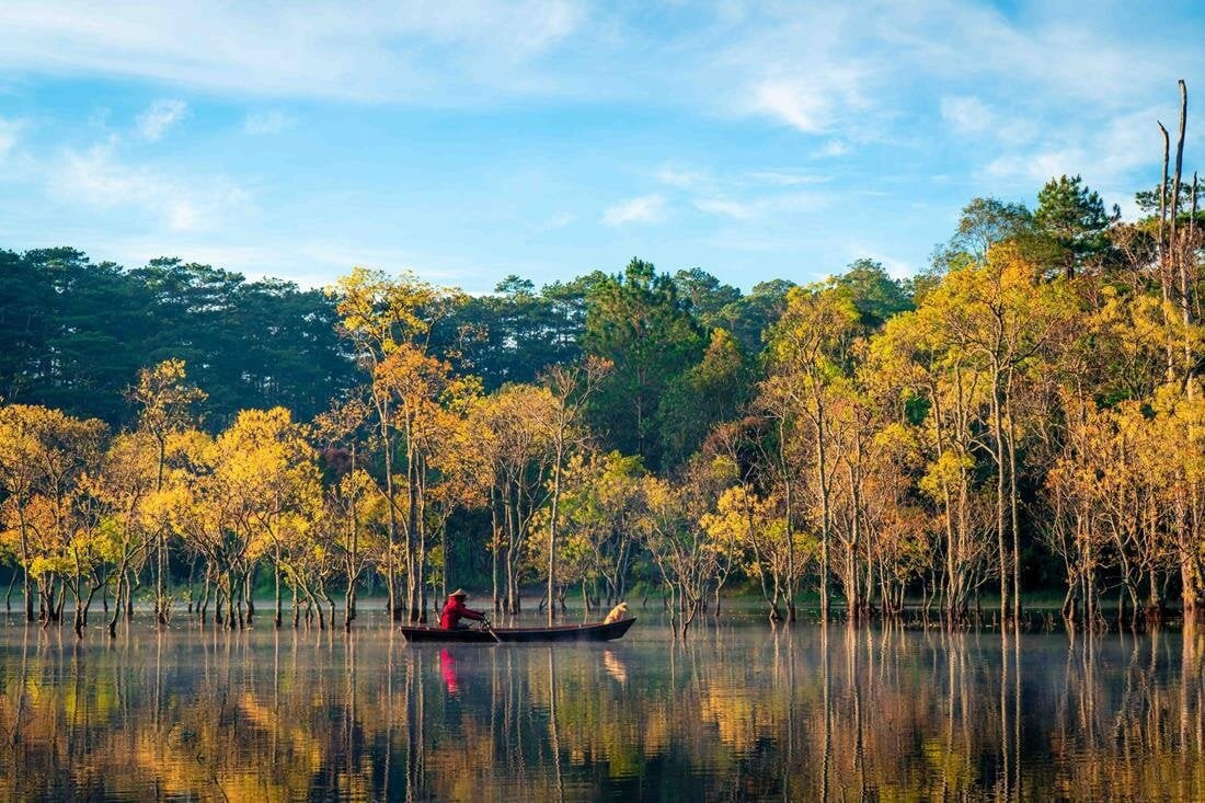 Suối Tía hồ Tuyền Lâm mùa lá vàng đẹp như cảnh thần tiên với rừng cây chò chuyển màu. (Ảnh: Bùi Văn Hải)