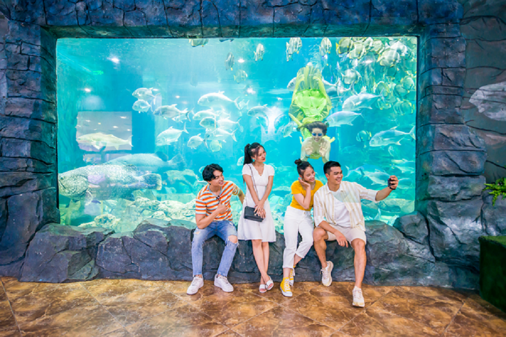Vinpearlland Aquarium được ví nhà là đại dương thu nhỏ trong lòng đất.