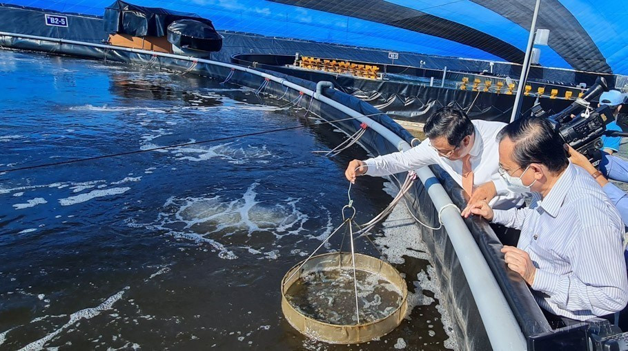 Vietnam’s fishery industry: A spearhead economic sector hinh anh 2