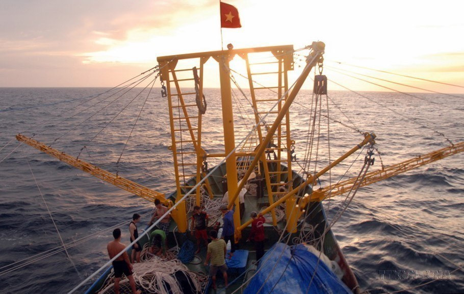 Vietnam’s fishery industry: A spearhead economic sector hinh anh 4