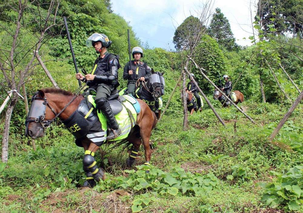 Cavalry Mobile Police Corps working hard for professionalism and modernisation hinh anh 4