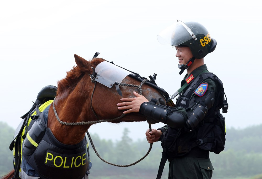 Cavalry Mobile Police Corps working hard for professionalism and modernisation hinh anh 5