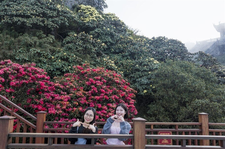 Đây là đường dạo ngắm hoa Đỗ quyên đầu tiên tại Việt Nam, nằm tại Kim Sơn Bảo Thắng Tự thuộc quần thể kiến trúc văn hóa tâm linh trên đỉnh Fansipan, khánh thành từ tháng 5/2023.