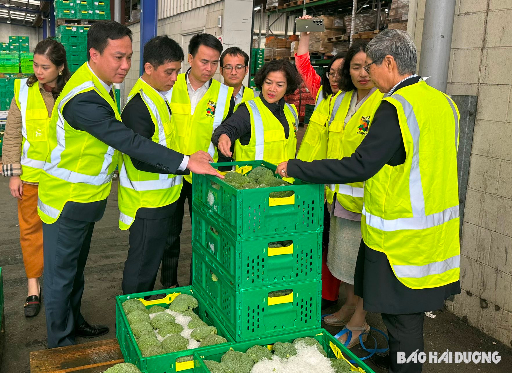Đoàn công tác của tỉnh Hải Dương thăm mô hình bảo quản và xuất khẩu sản phẩm nông sản tại doanh nghiệp của New Zealand
