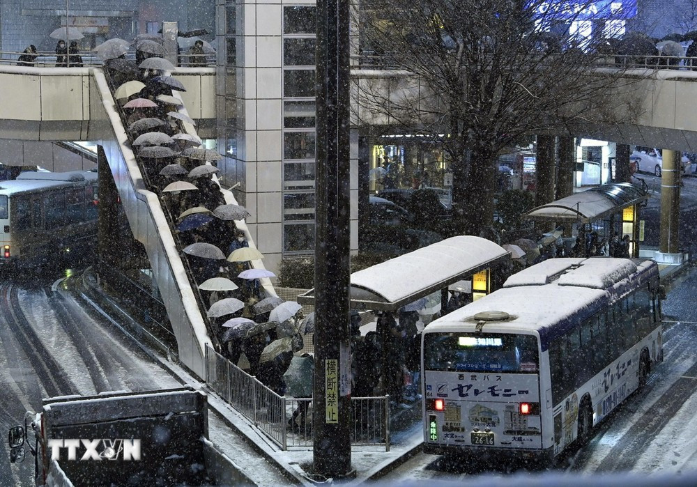 Người dân xếp hàng chờ lên xe buýt gần Tokyo, Nhật Bản ngày 5/2/2024. (Ảnh: Kyodo/TTXVN)