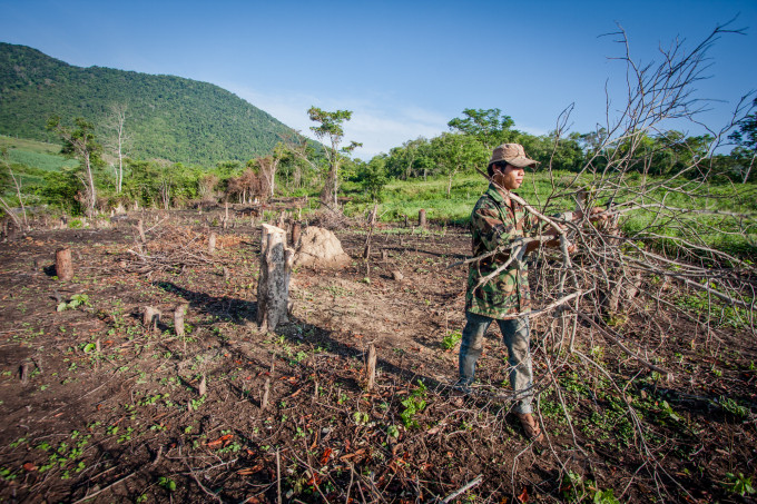 Một người dân ở huyện Sơn Hòa, Phú Yên chặt cây rừng để lấy đất làm rẫy. Ảnh: Nhung Nguyễn
