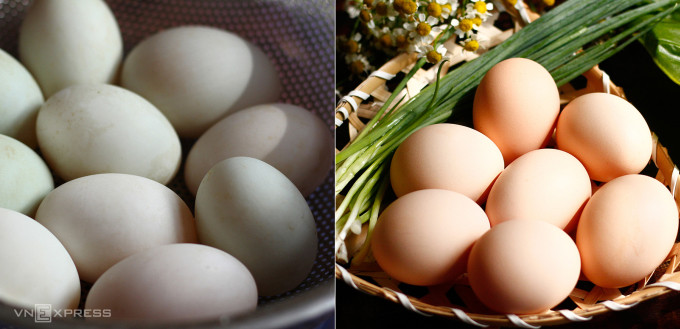 Trứng vịt to, nhiều dưỡng chất, lỗ khí trên vỏ hơn trứng gà. Ảnh: Bùi Thủy