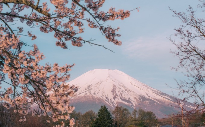 Núi Phú Sĩ dưới ống kính du khách gốc Việt hồi đầu tháng 4. Ảnh: Đinh Gia Bảo