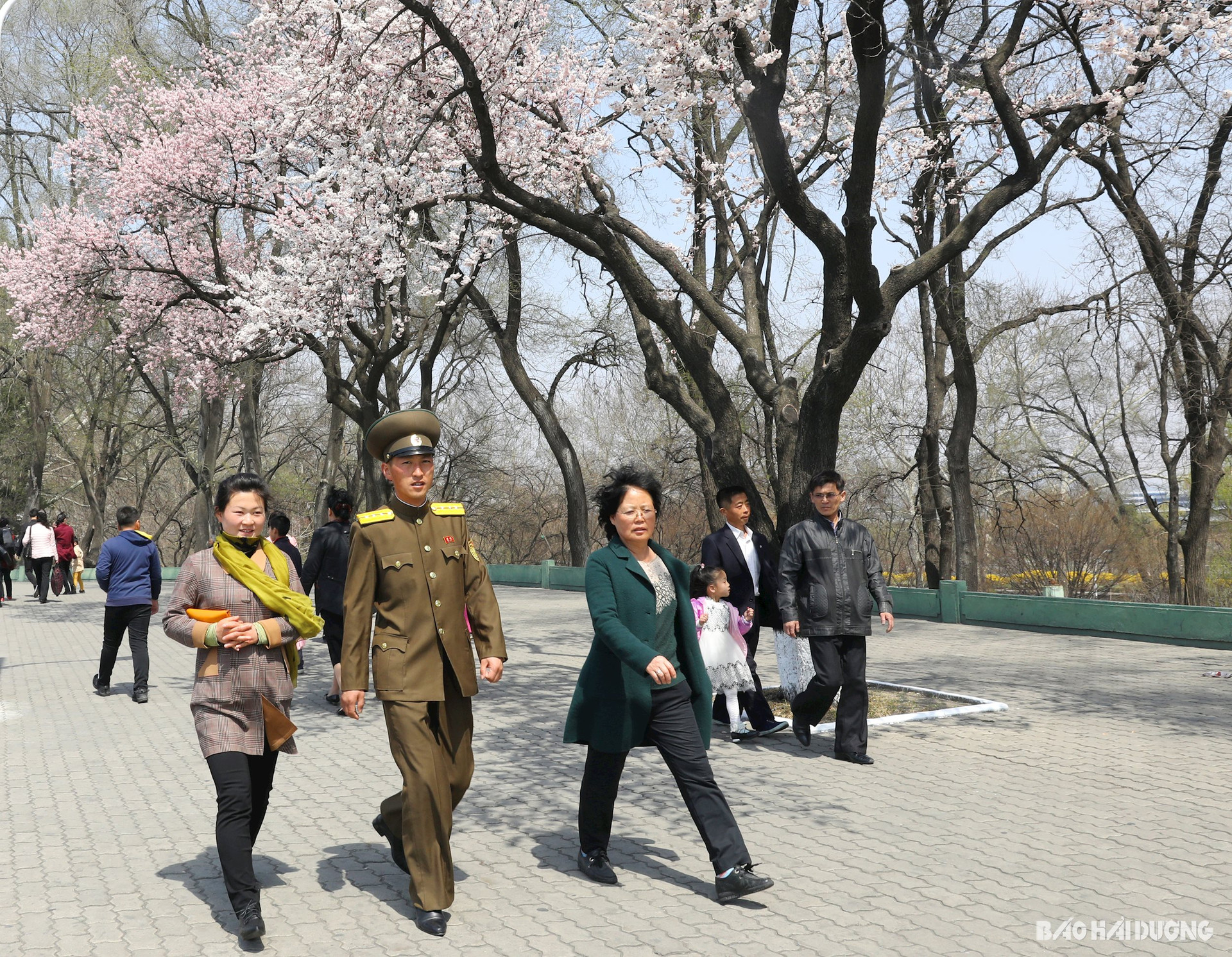Người dân Triều Tiên đi dạo vào dịp sinh nhật Chủ tịch Kim Nhật Thành trên đường phố Bình Nhưỡng. Ảnh: PHƯƠNG HOA