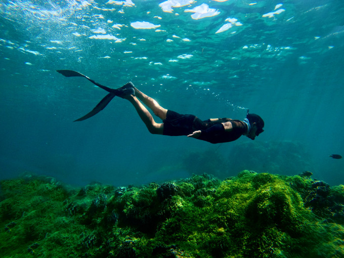 Lặn với ống thở và chân vị ở đảo Phú Quý. Ảnh: Huỳnh Ka