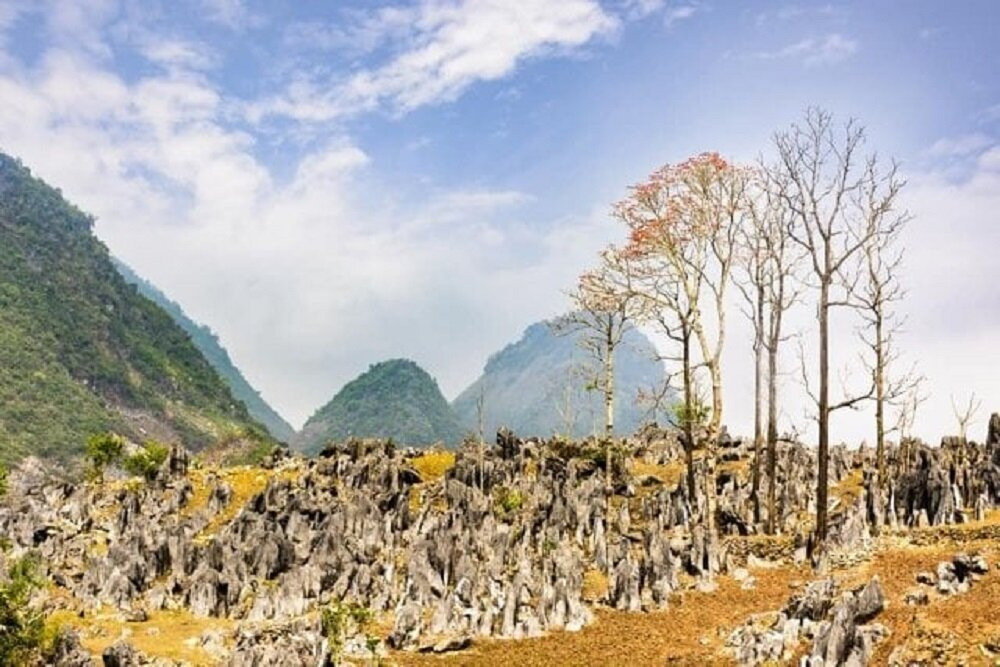 Cao nguyên đá Tủa Chùa là một vùng núi đá vôi thuộc địa bàn huyện Tủa Chùa.