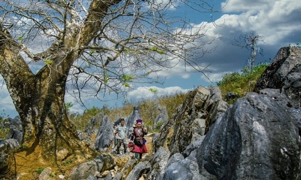 Cao nguyên đá Tủa Chùa nằm ở độ cao 1.400 mét so với mực nước biển, được mẹ thiên nhiên ban tặng địa hình vô cùng đặc biệt.