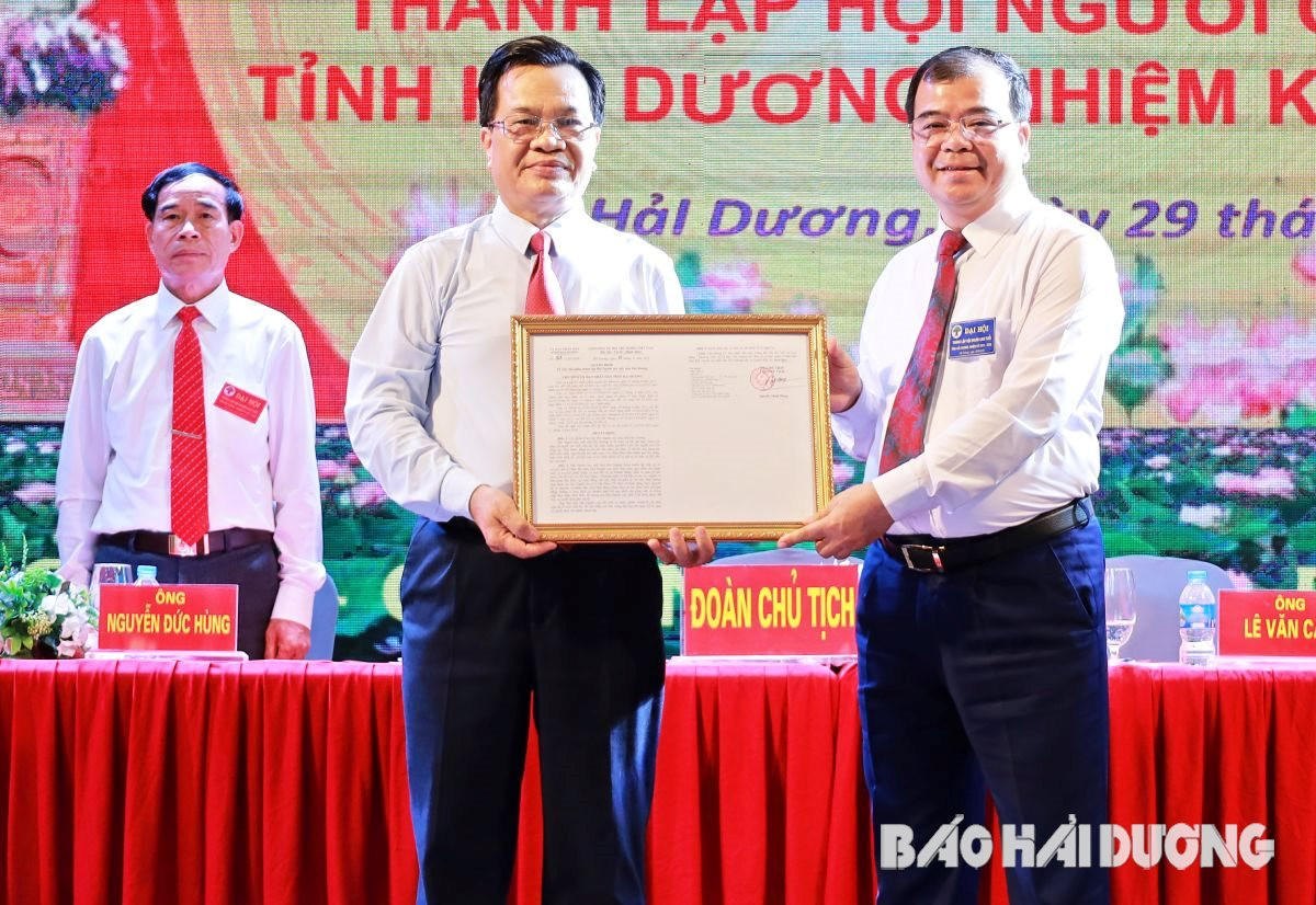 Đồng chí Nguyễn Minh Hùng, Phó Chủ tịch UBND tỉnh trao quyết định thành lập Hội Người cao tuổi tỉnh cho Ban Đại diện Hội Người cao tuổi tỉnh