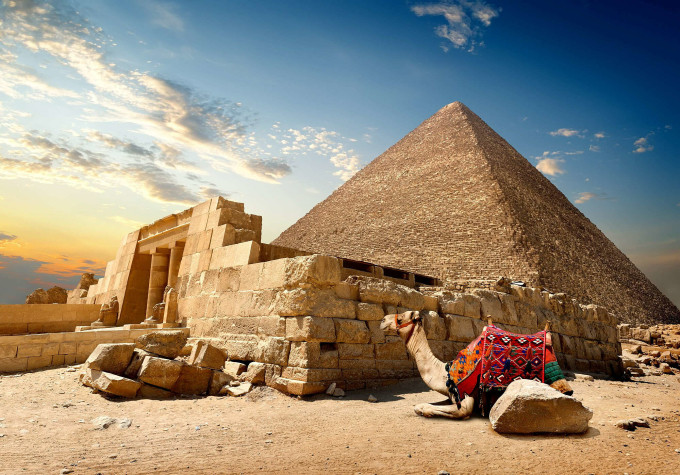 Lạc đà chở khách nằm nghỉ ngơi tại một kim tự tháp ở Ai Cập. Ảnh: Egypt keytours