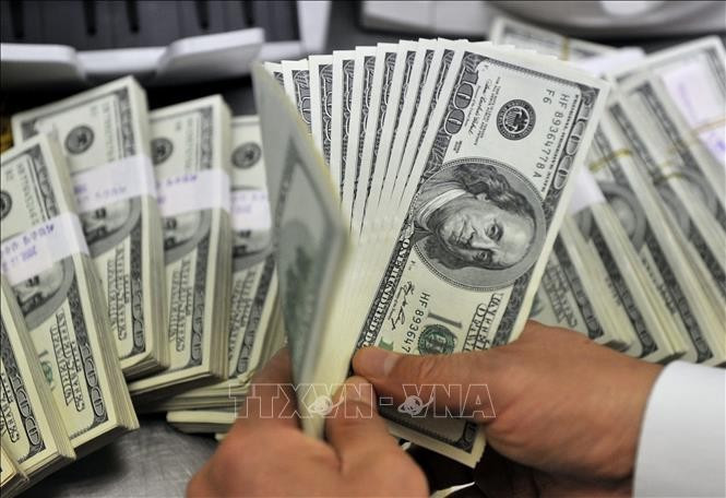 Nhân viên kiểm đồng USD tại một ngân hàng. (Ảnh: AFP/TTXVN)