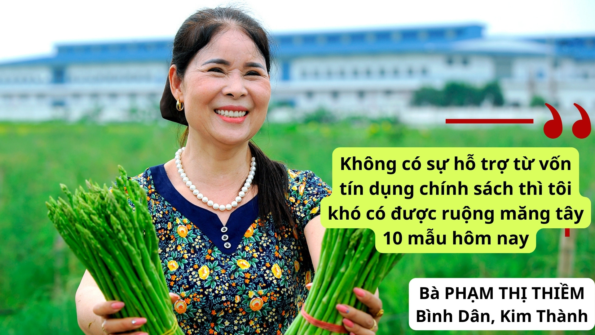 Không có sự hỗ trợ từ vốn tín dụng chính sách thì tôi khó có được ruộng măng tây 10 mẫu hôm nay-2