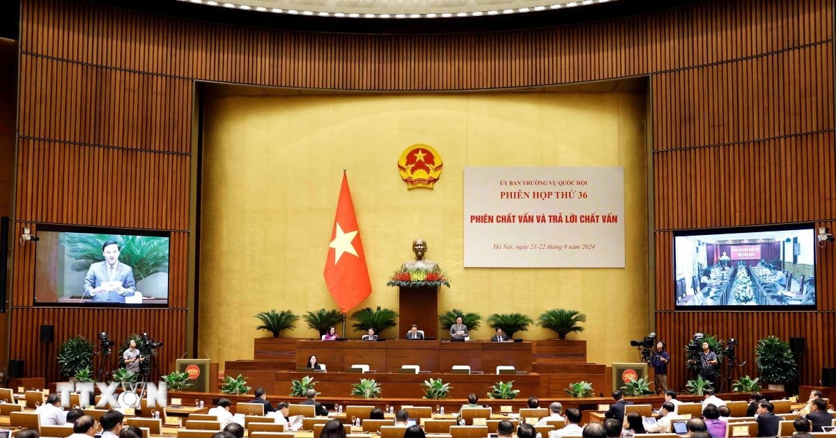 Đại biểu Quốc hội Nguyễn Thị Việt Nga (Hải Dương) chất vấn về việc trả ...