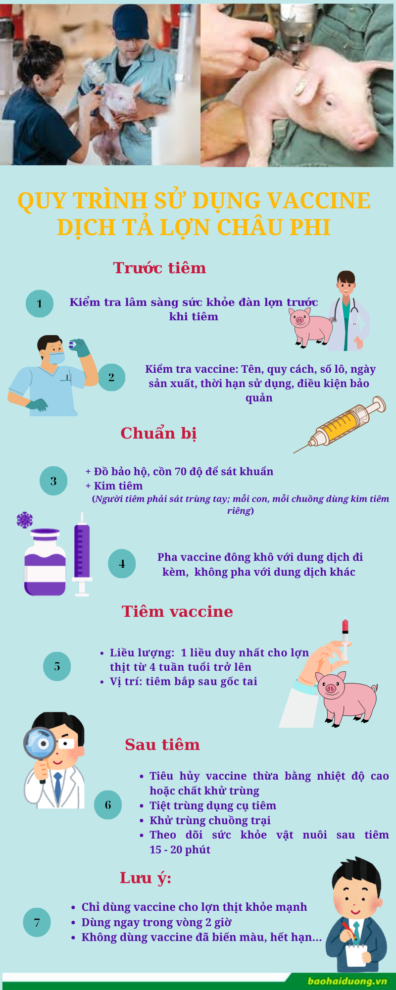 vaccine (6)