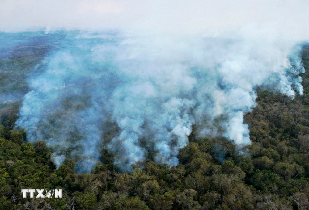 Khói lửa bốc lên từ hiện trường vụ hỏa hoạn ở khu vực Pantanal, bang Mato Grosso, Brazil, ngày 1/8/2020. (Ảnh: AFP/ TTXVN)