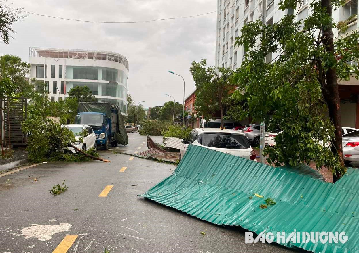 Trên đường Nguyễn Trọng Thuật, mái tôn đổ ngổn ngang khiến nhiều xe ô tô bị hư hỏng