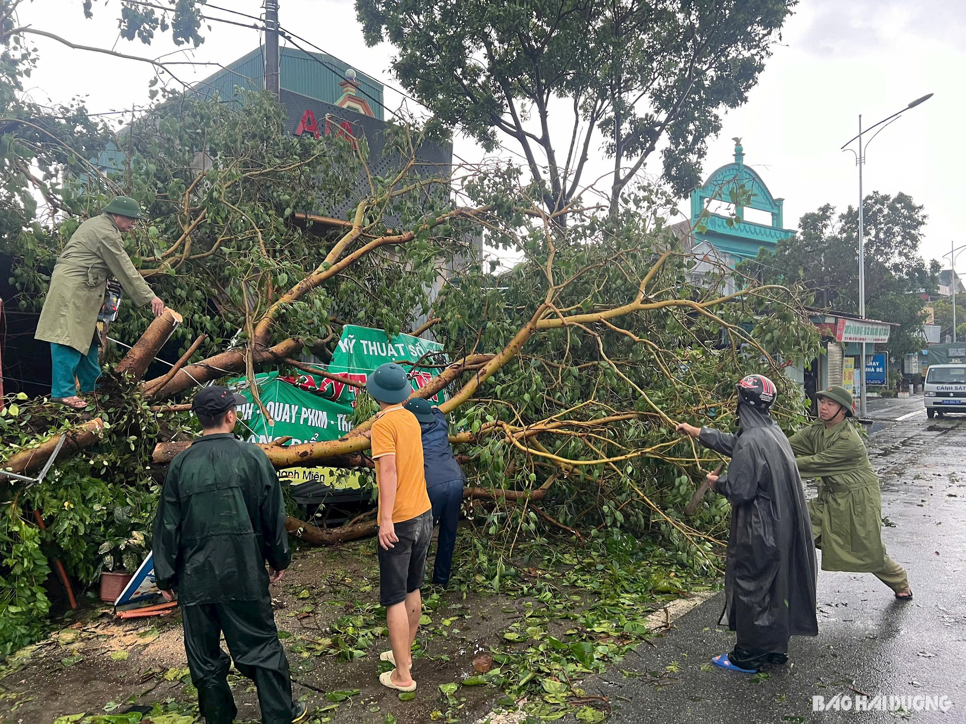 Chính quyền thị trấn Thanh Miện hỗ trợ nhân dân di chuyển cây đổ vào nhà