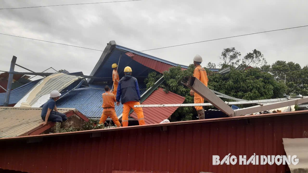 Nhân viên iện lực Thanh Miện xử lý mái tôn bay vào đường dây điện