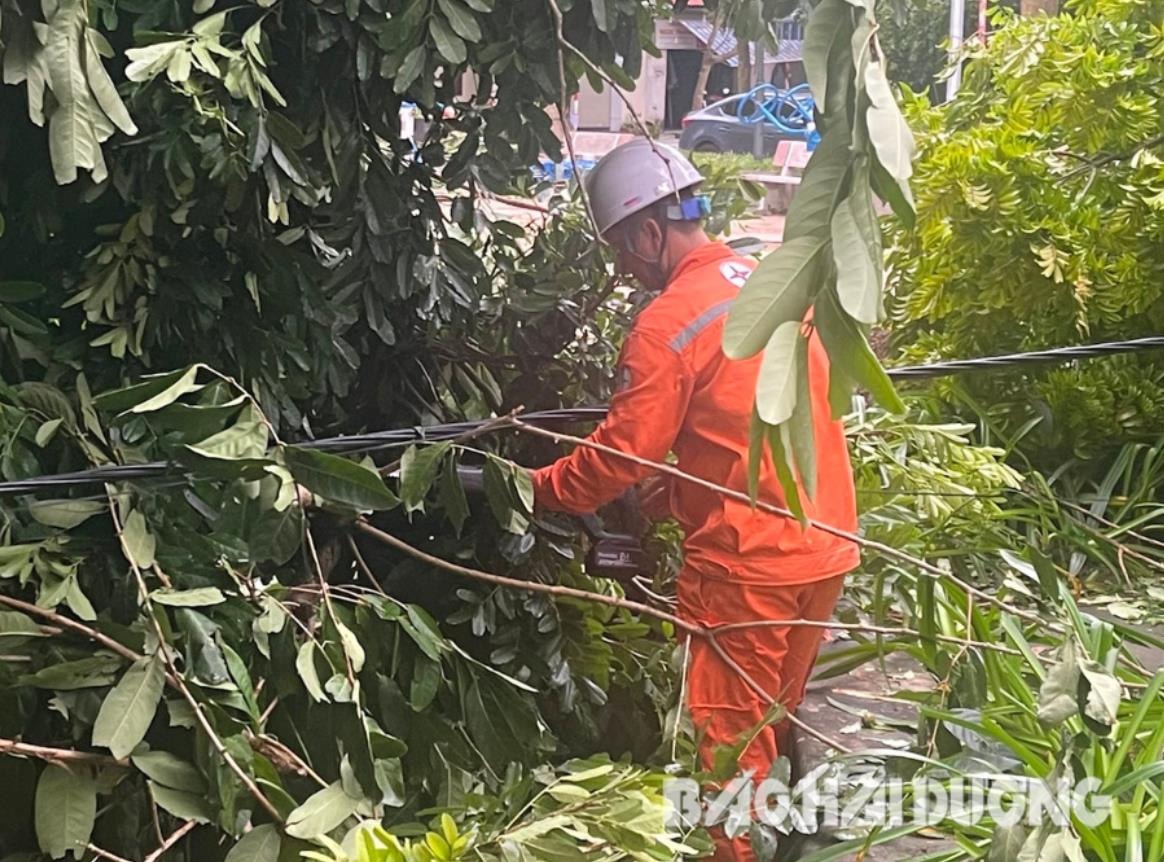  Nhân viên Điện lực TP Hải Dương cắt tỉa cây xanh gẫy đổ vào đường dây gây mất điện