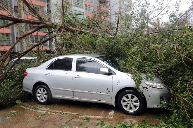 sieu bao yagi.jpg