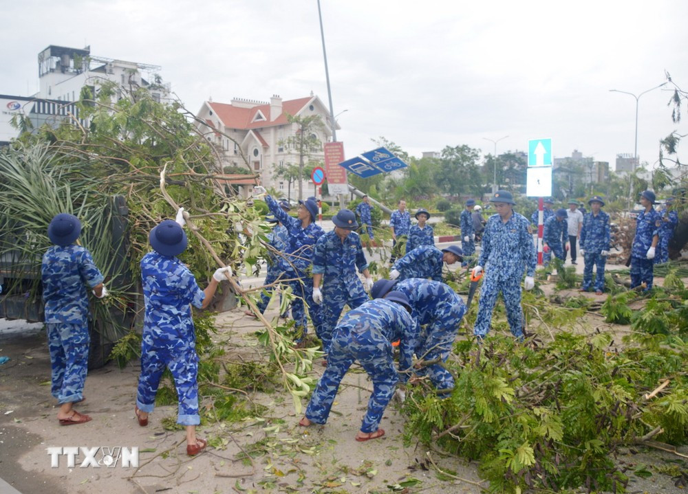 Lực lượng Cảnh sát Biển dọn dẹp cây bị đổ tại Hải Phòng. (Ảnh: Hoàng Ngọc/TTXVN)