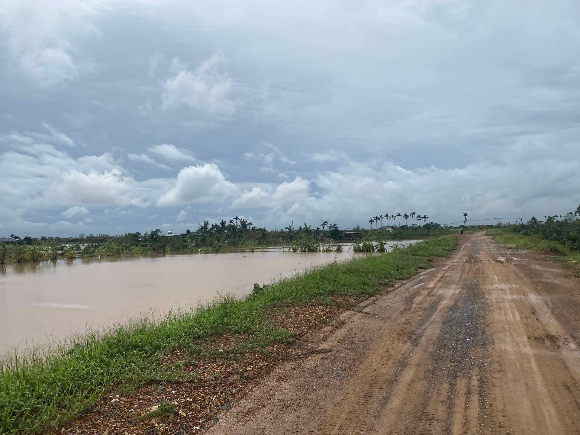 baohaiduong.vn