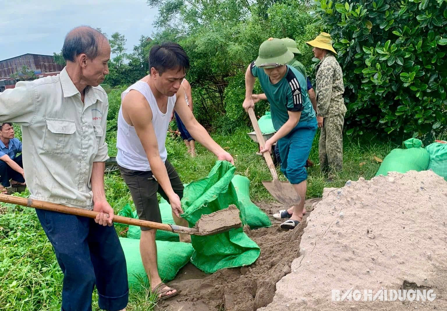 ã Ngô Quyền (Thanh Miện) chuẩn bị bao tải cát để chủ động chống tràn