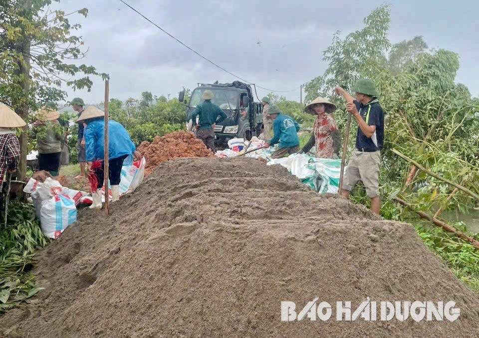 TP Chí Linh huy động lực lượng, vật tư xử lý kịp thời các sự cố đê điều, thủy lợi. Ảnh: CTV