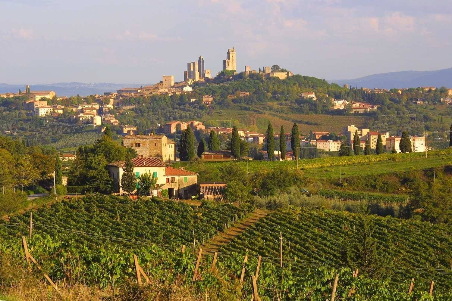 San Gimignano là quê hương của loại nho xanh nổi tiếng. (Ảnh: Linh Phan)