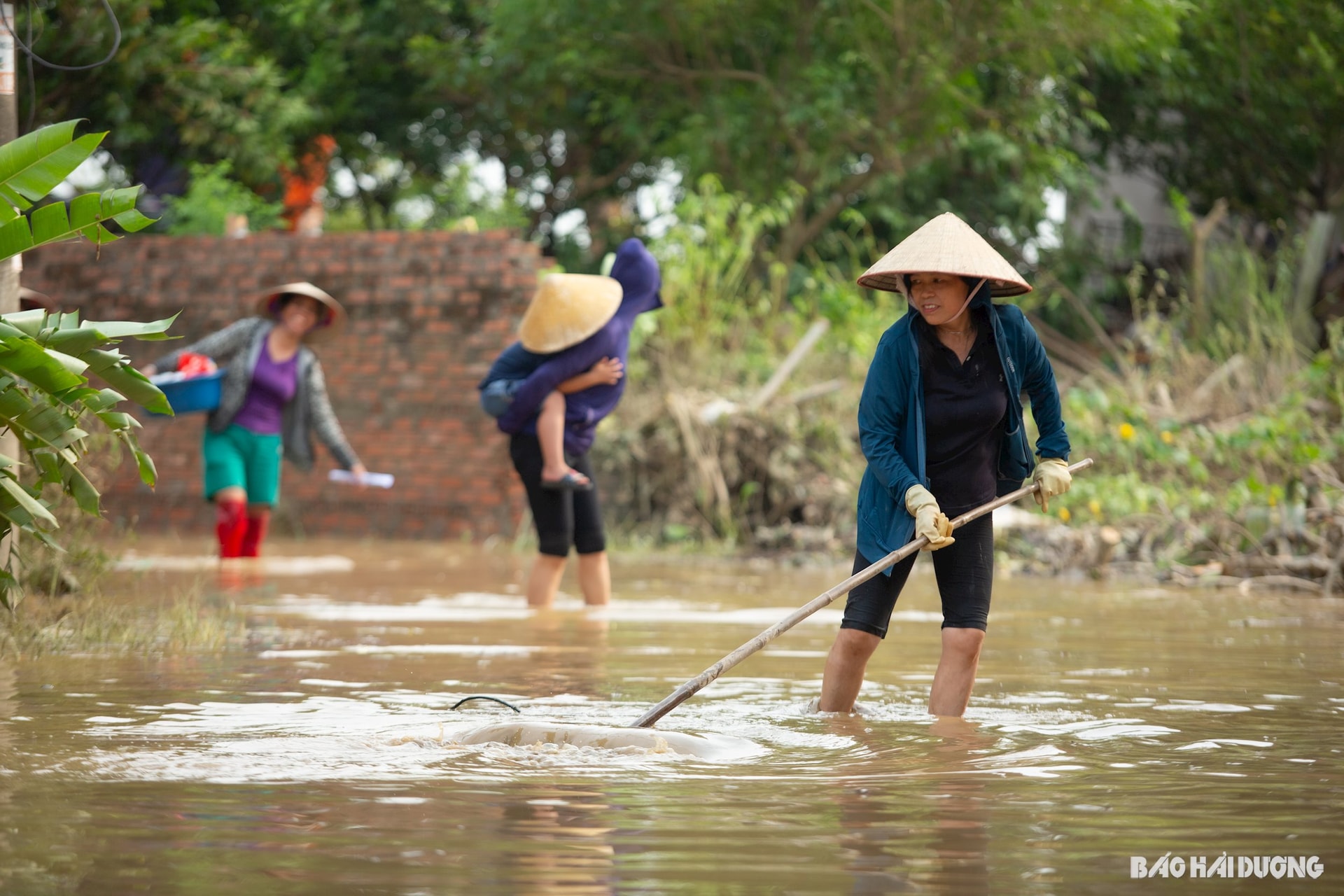 Ngườidaan