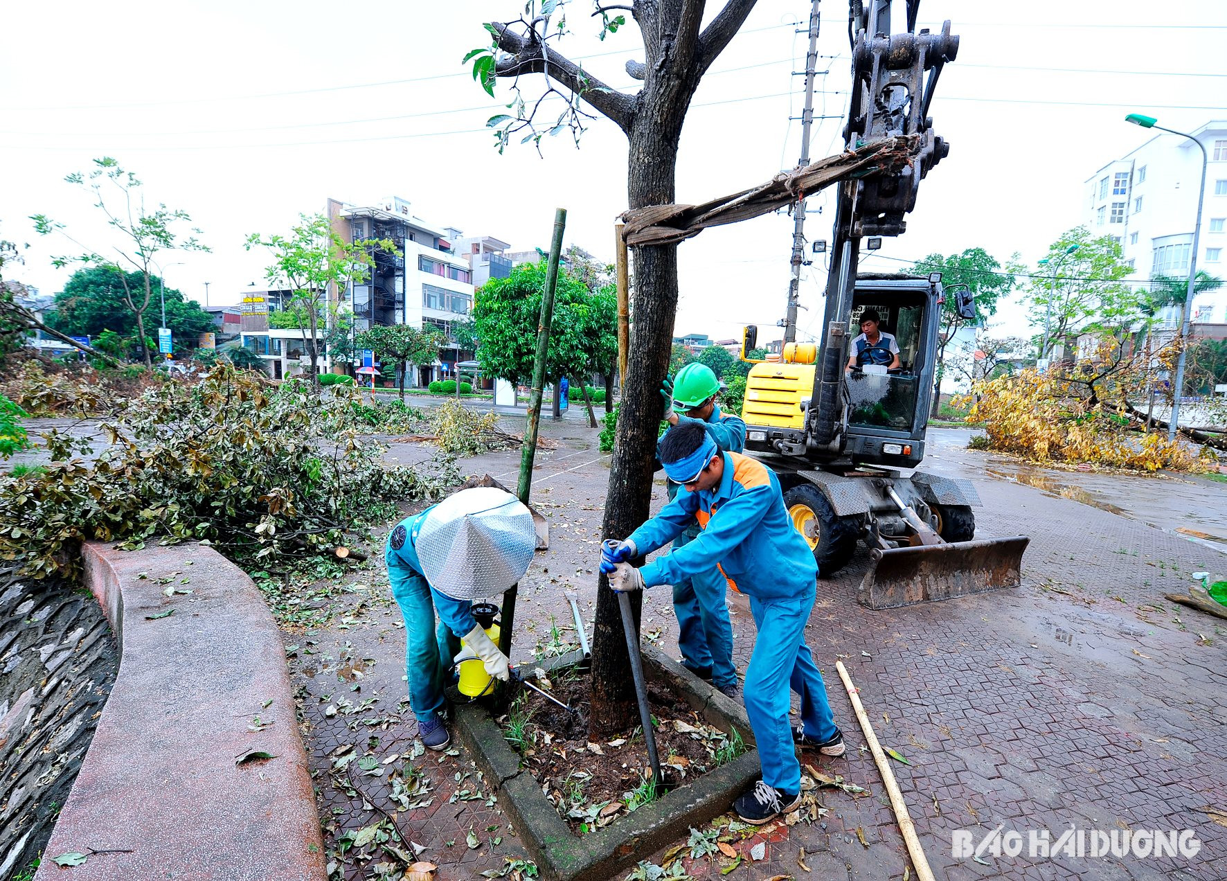 bac duong thanh nien